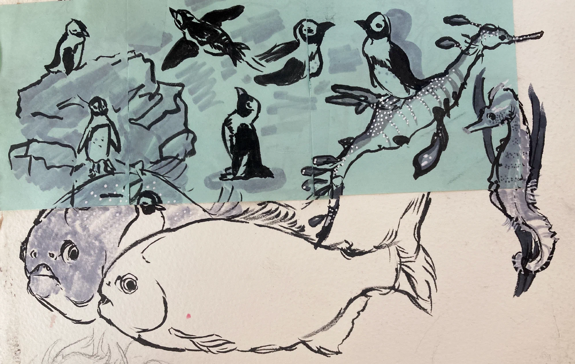 Aquarium Sketch 2022
