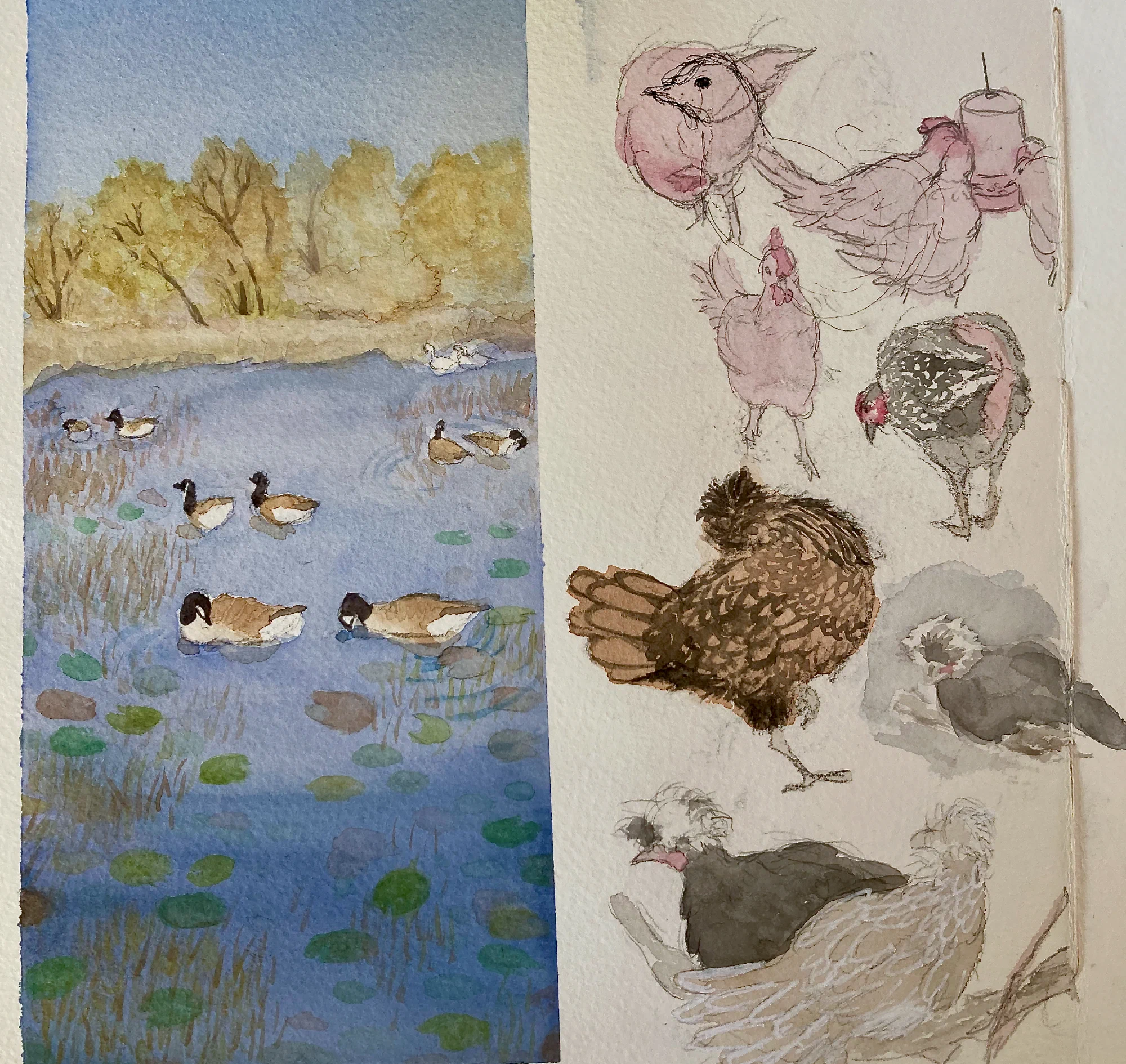 Birds in Watercolor