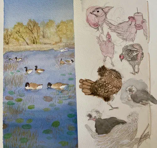 Birds in Watercolor