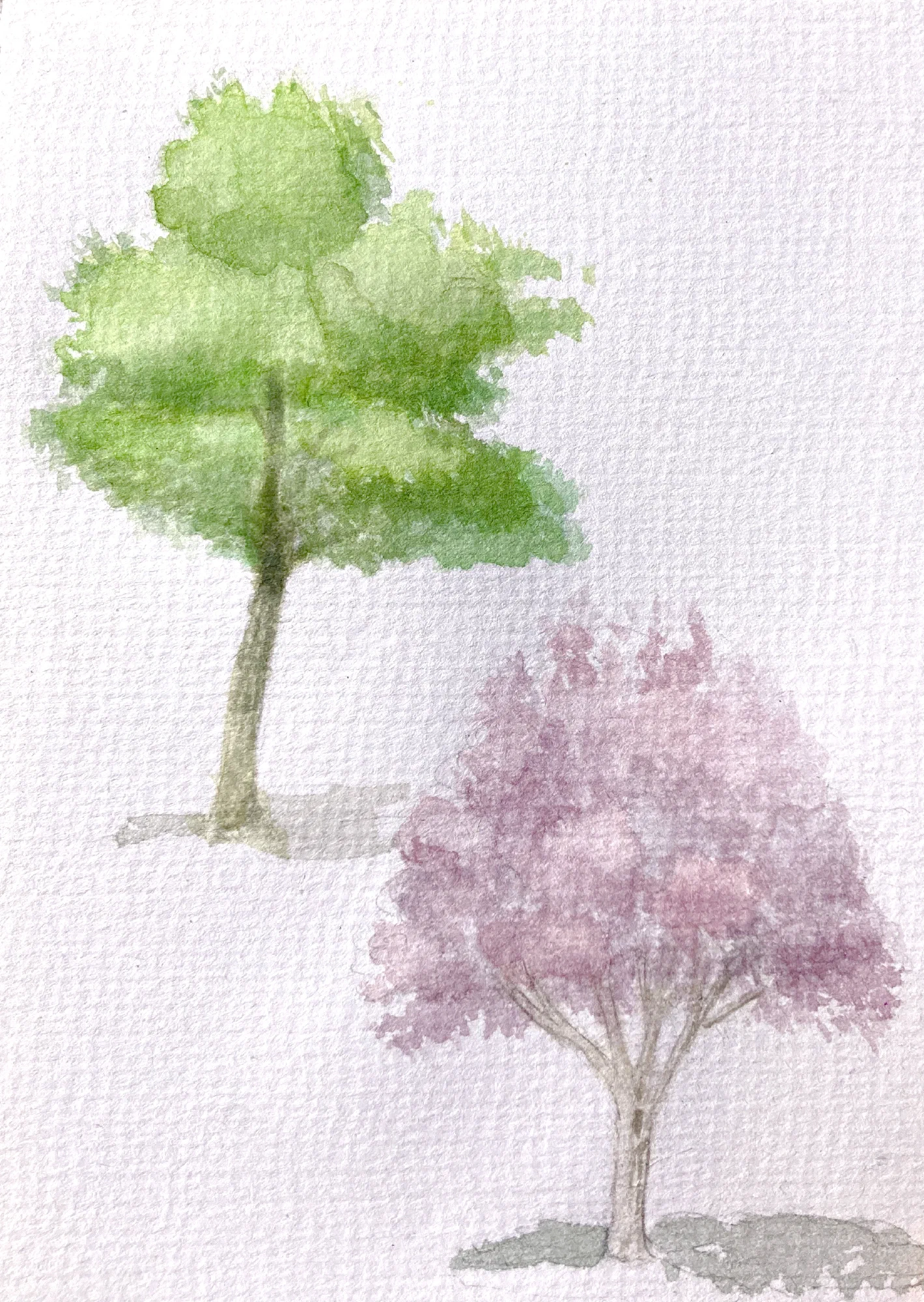 Two Trees in Watercolor